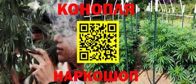 тгк Малгобек