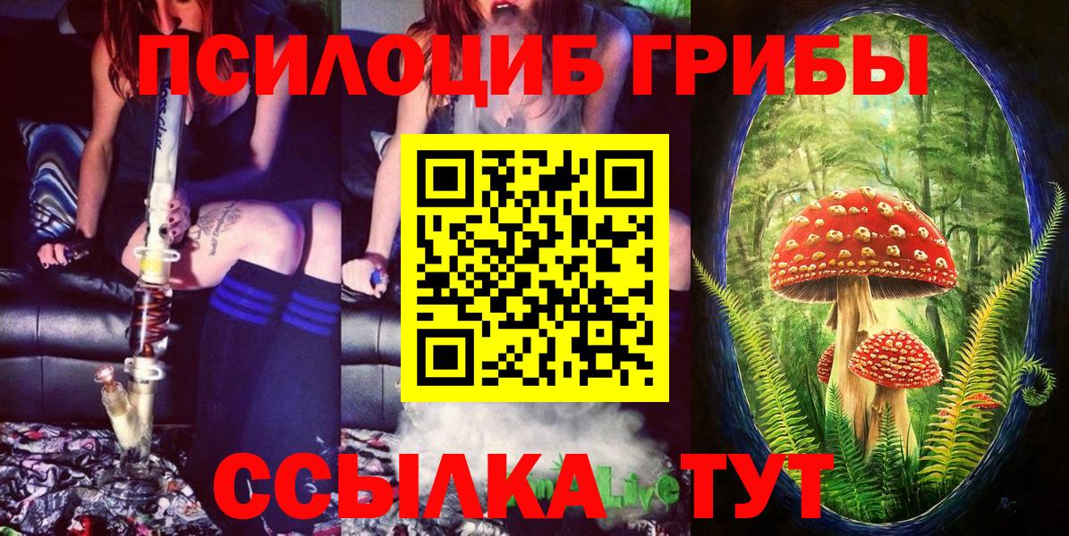 Псилоцибиновые грибы GOLDEN TEACHER  Вход с VPN  Великие Луки 