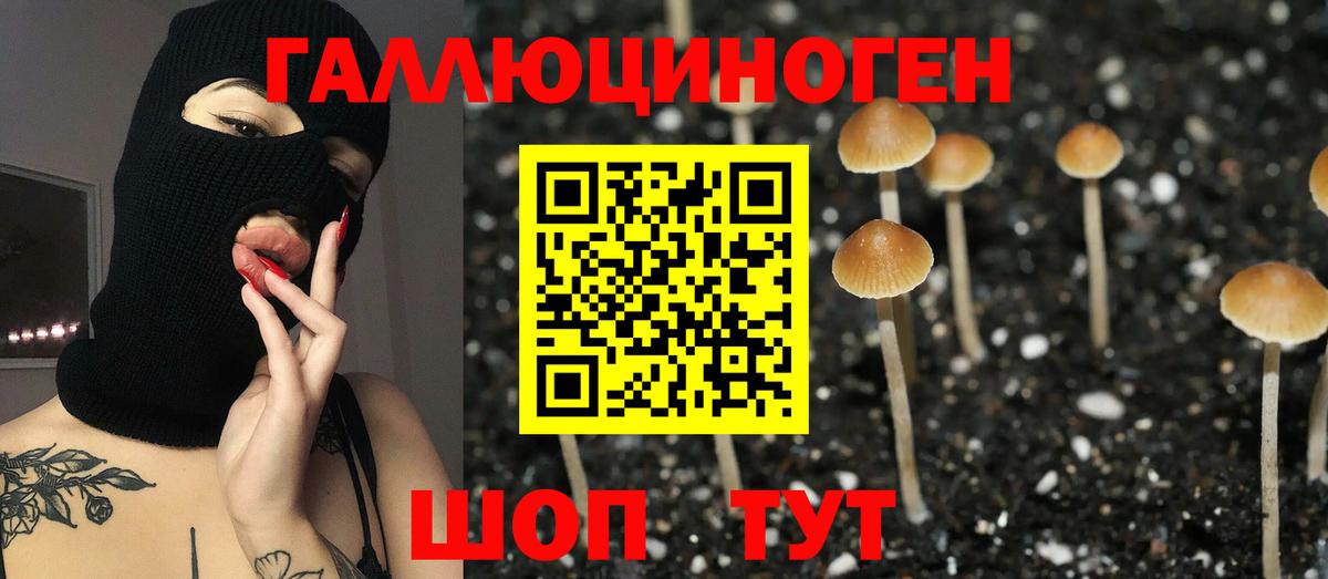 Галлюциногенные грибы мицелий Великие Луки